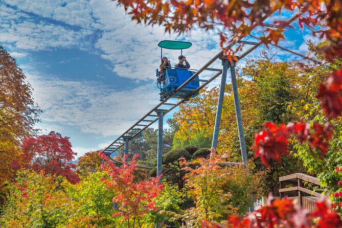 Special Private Tour Nami Island, Rail Bike, Petite France - Itinerary Overview