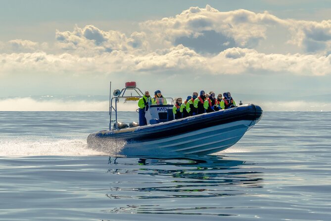 Speedboat Whale Watching Small-Group Tour in Reykjavik - Customer Experiences
