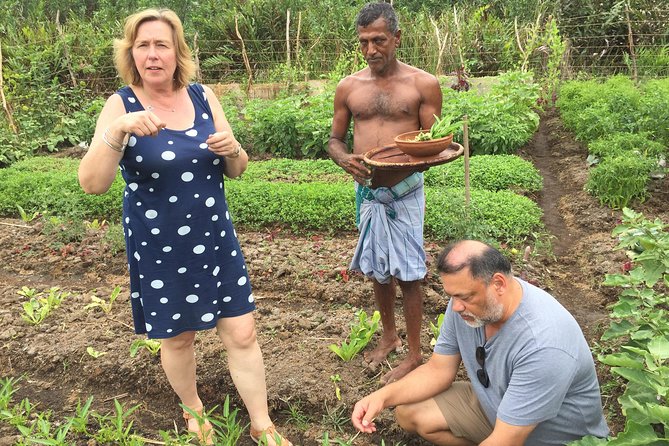 Sri Lankan Rice and Curry Cookery Demonstration—Galle - Cooking Class Inclusions