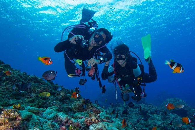 SSI Padi Open Water Course in Phuket - Reviews and Ratings