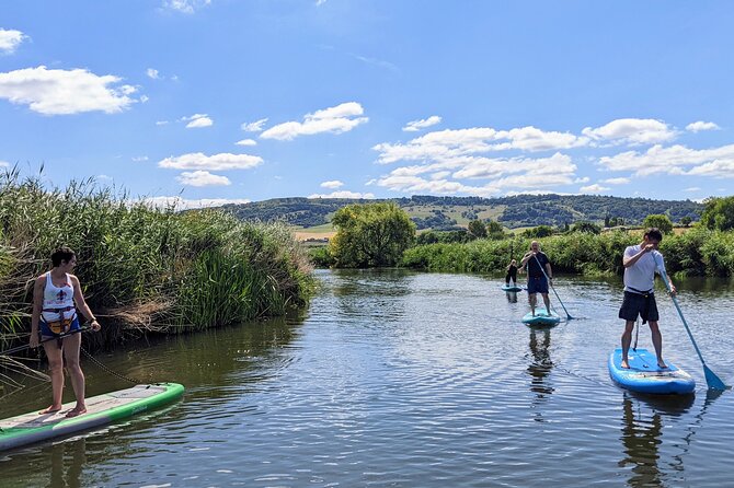 Stand-up Paddleboard SUP Safari on The River Avon For Beginners - Wildlife Spotting Opportunities