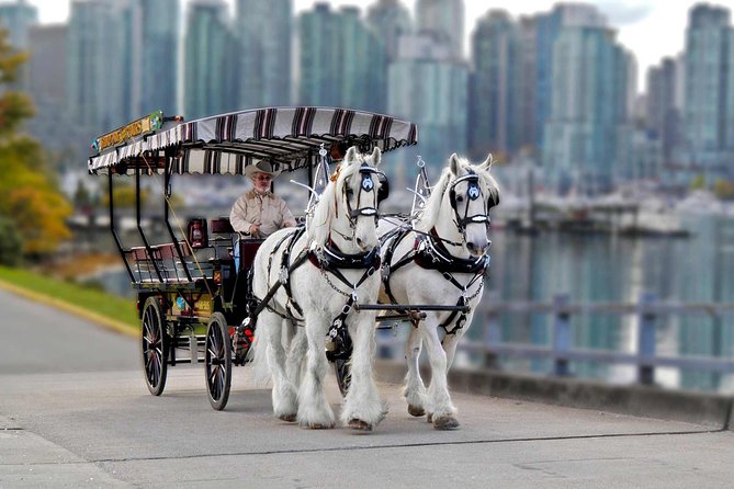 Stanley Park Horse-Drawn Tour - Booking & Logistics