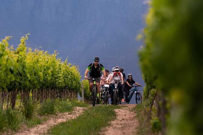 Stellenbosch Half Day Winelands Cycle Tour - Booking Requirements