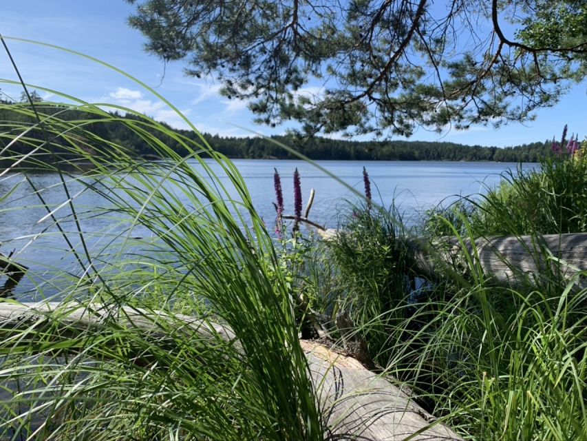 Stockholm: Evening/Sunset Hike in Tyresta National Park - Booking Information