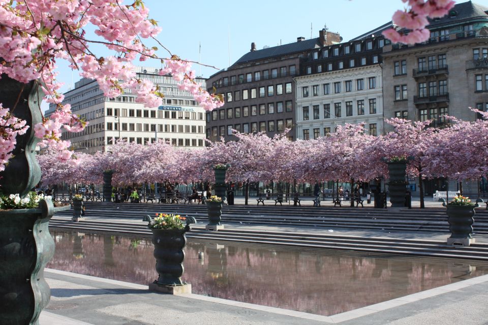 Stockholm: Highlights Guided Walking Tour - Booking Information