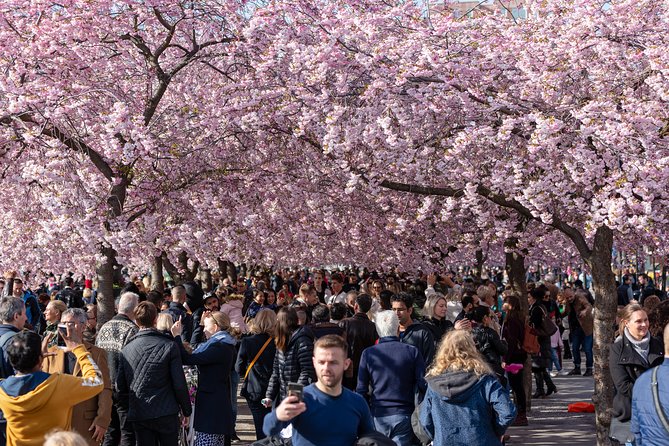 Stockholm: New City Walking Tour (Mar ) - Meeting and Pickup Information