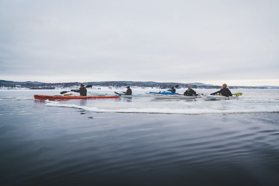 Stockholm: Winter Archipelago Kayak Tour With Warm Lunch - Experience Highlights