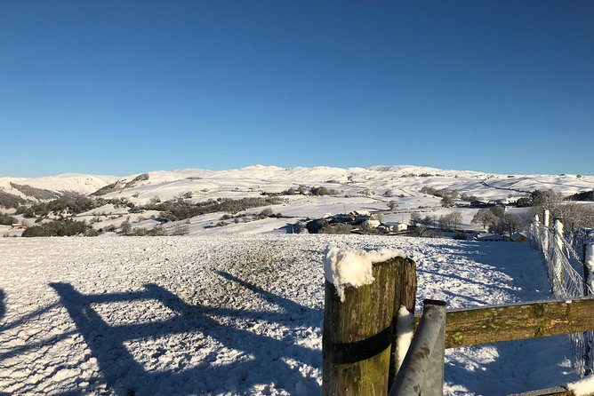 Stunning Lake District 4 Hour Tours! - Private Guided Experience