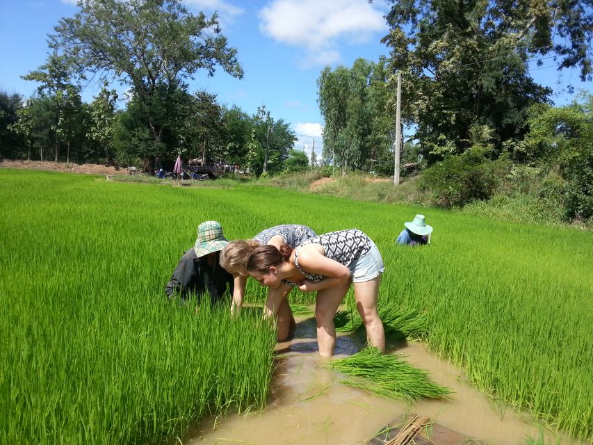 Sukhothai: Half-Day Countryside Bike Tour - Tour Highlights