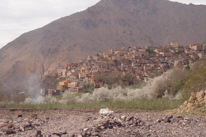 Summiting The Atlas Mountains Private Day Hike From Marrakech - Highlights of the Private Day Hike