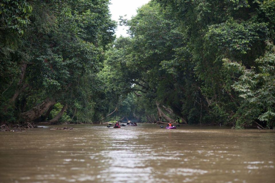 Sungai Berang Wildlife & Cultural Kayak Tour - Wildlife Spotting Opportunities