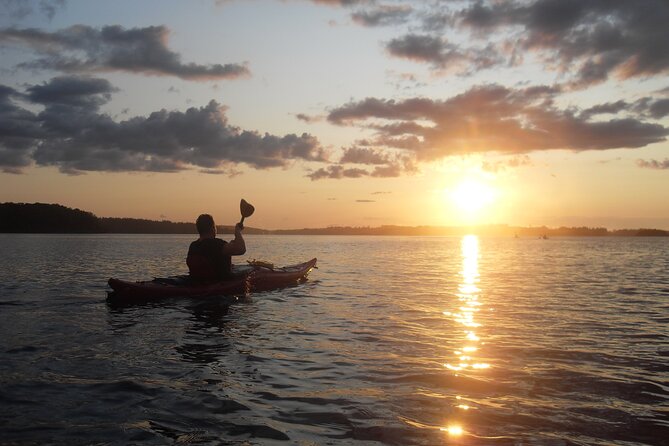 Sunset Boat Cruise in Vancouver - Inclusions and Recommendations