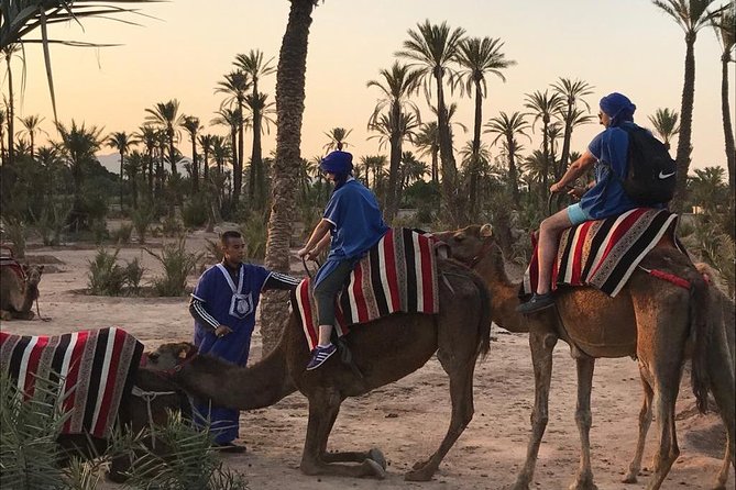 Sunset Camel Ride In Marrakech Palm Grove - Practical Information