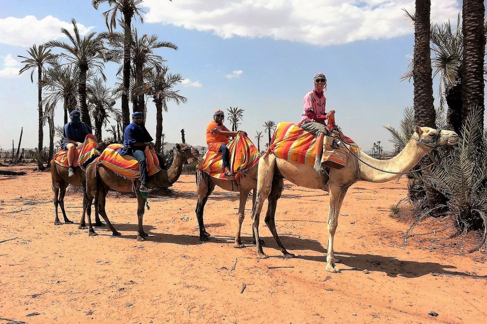 Sunset Camel Ride in the Marrakech Palmeraie - Experience Highlights