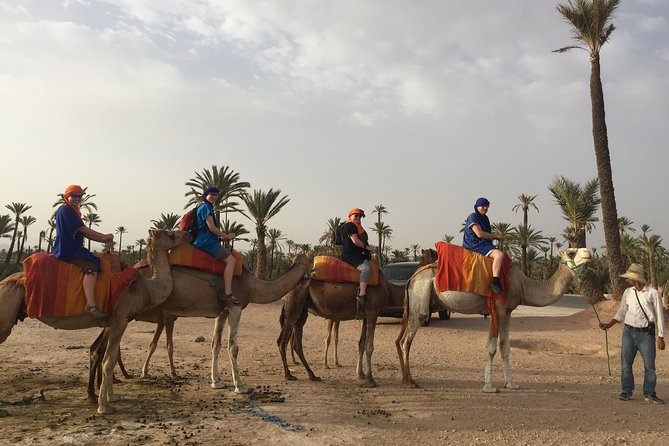 Sunset Camel Ride in the Palm Groves of Marrakech - Logistics