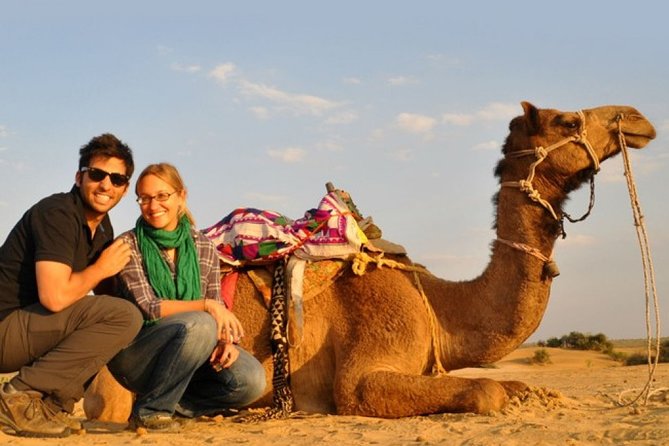 Sunset Camel Ride Including BBQ Dinner From Ras Al Khaimah - Flexible Cancellation Policy