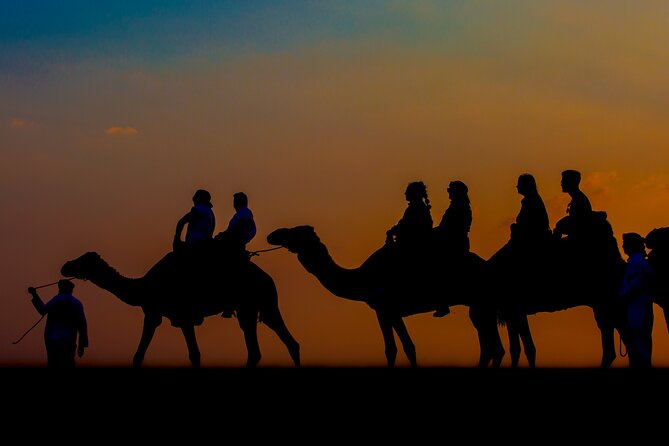 Sunset Camel Trekking Safari With Falcon Show & VIP BBQ Dinner - Desert Activities