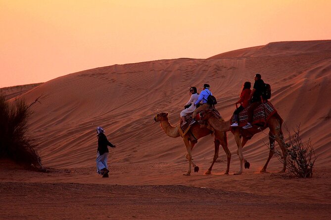 Sunset Evening Safari,Camel Ride,Live Shows and BBQ Dinner With No Hidden Charge - Transparent Pricing Details