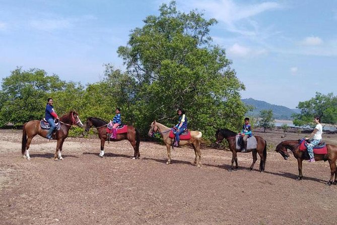 Sunset Horse Riding Tour at Ao Nam Mao Beach Krabi - Pickup Information
