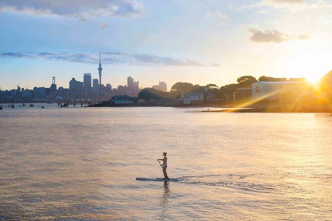 Sunset Paddle-Boarding Tour in Auckland - Inclusions and Booking Details