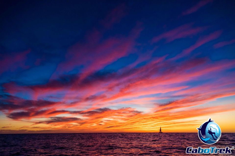 Sunset Whale Watching Cruise in Cabo San Lucas - Booking Information