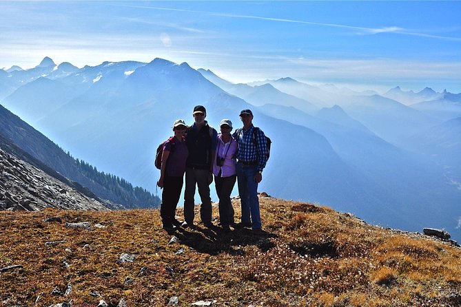 Sunshine Meadows Vistas - Guided Hike (Easy) - Guided Hike Experience