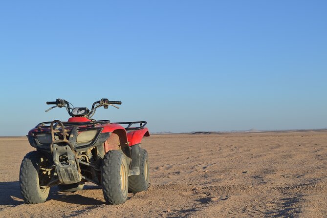 Super Safari ATV, Drive Buggy Car, Camel Ride, Bedouin Dinner, Show-Hurghada - Guest Feedback and Recommendations