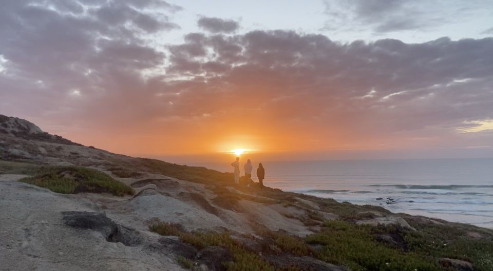 Surf Guiding in Portugal - Experience Highlights