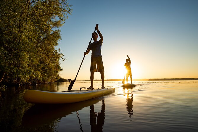 Surfing Under Midnight Sun (Sup) - Top Surf Spots in the Midnight Sun