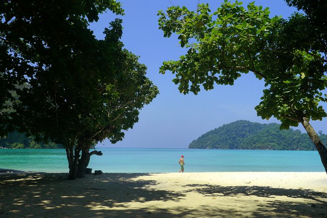 Surin Islands - the Snorkeling Experience From Phuket - Island Nature Walk