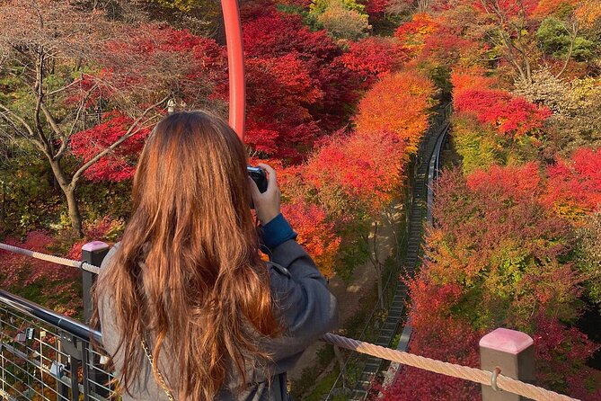 Suwon Hwaseong Purple Flower(Azalea) Cherry Blossom - Best Viewing Spots