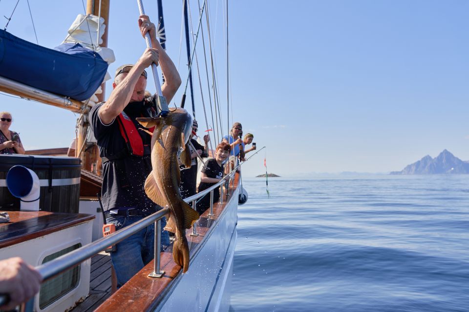 Svolvær: Luxury Lofoten Islands Fishing Trip - Luxury Yacht Details