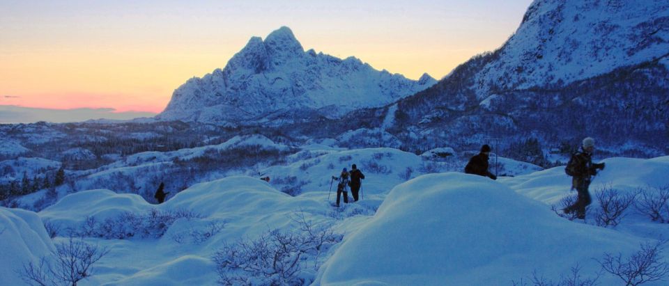 Svolvaer: Snowshoeing Half Day - Explore Backcountry With Expert Guides
