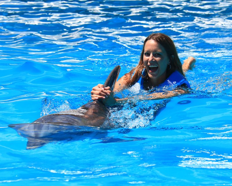 Swim With Dolphins Ride - Interactive Aquarium Cancun - Location Information for Interactive Aquarium Cancun