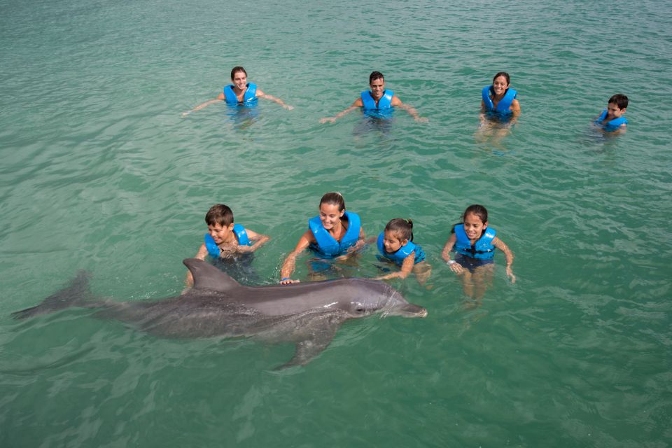 Swim With Dolphins Ride - Puerto Morelos - Experience Details