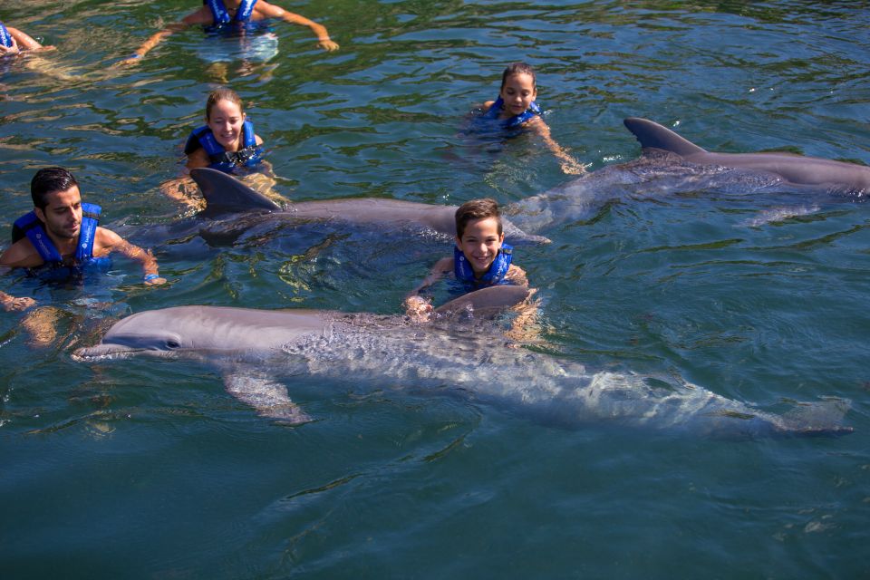 Swim With Dolphins Ride - Riviera Maya - Experience Highlights