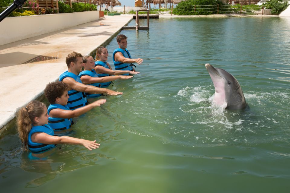 Swim With Dolphins Splash - Punta Cancun - Experience Details