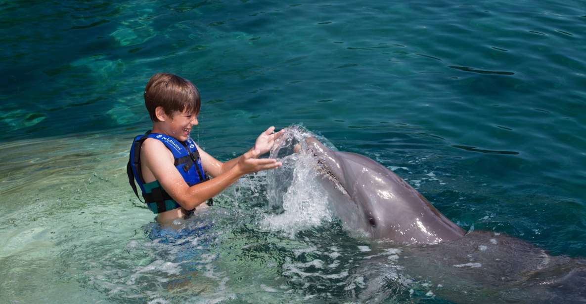 Swim With Dolphins Splash - Riviera Maya - Experience Highlights