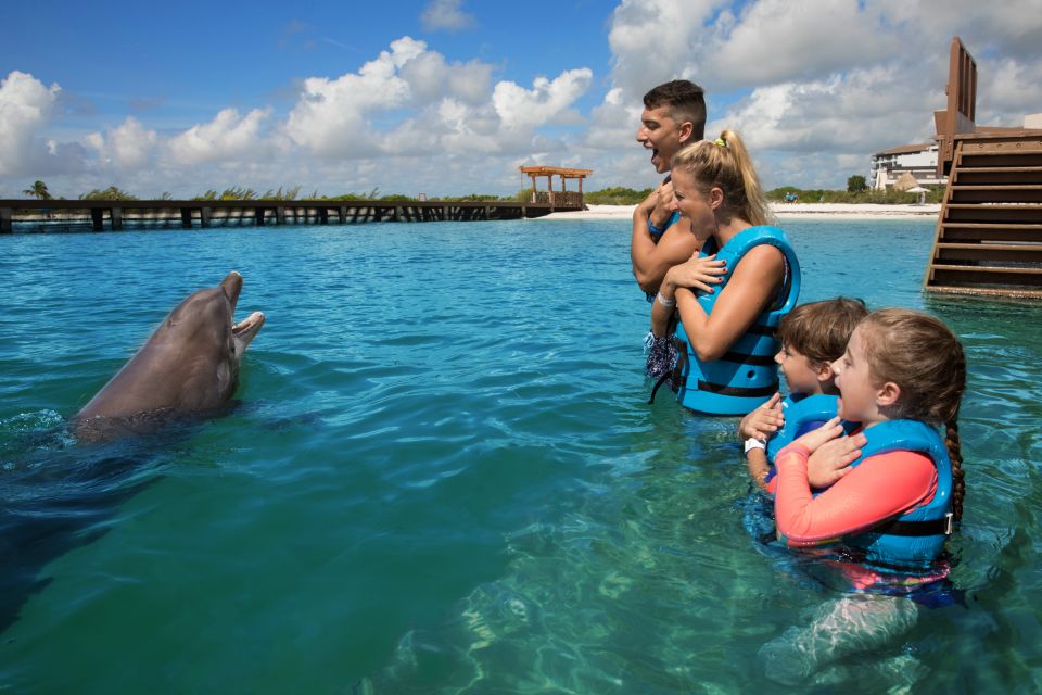 Swim With Dolphins Supreme - Playa Mujeres - Participant Information