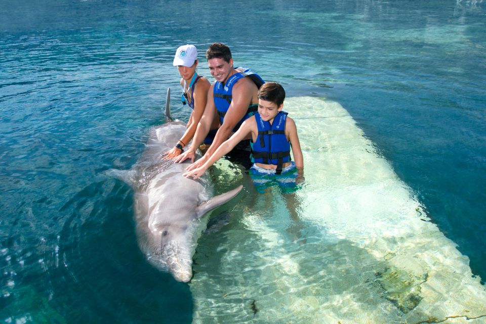 Swim With Dolphins - Supreme - Puerto Morelos - Location and Amenities