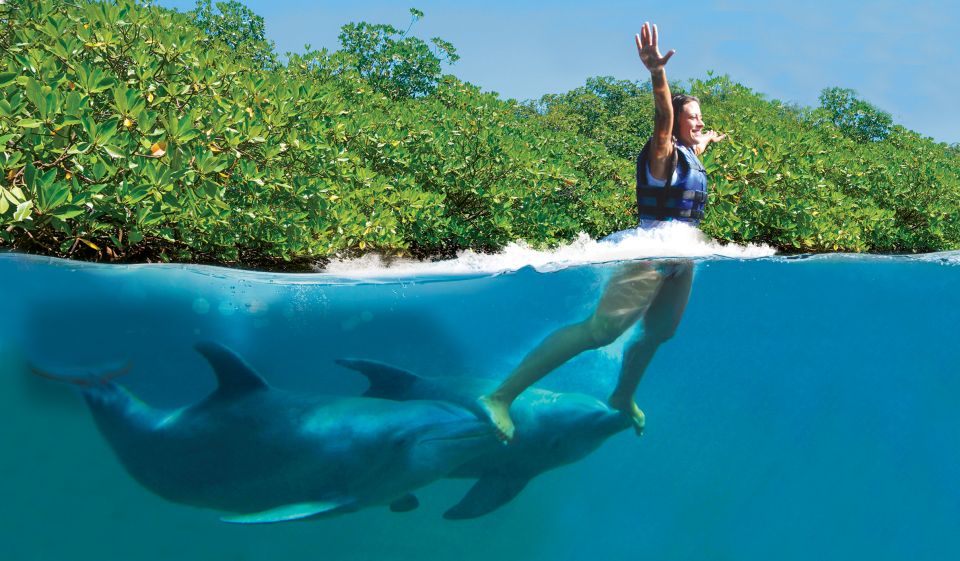 Swim With Dolphins Supreme - Riviera Maya - Experience Highlights