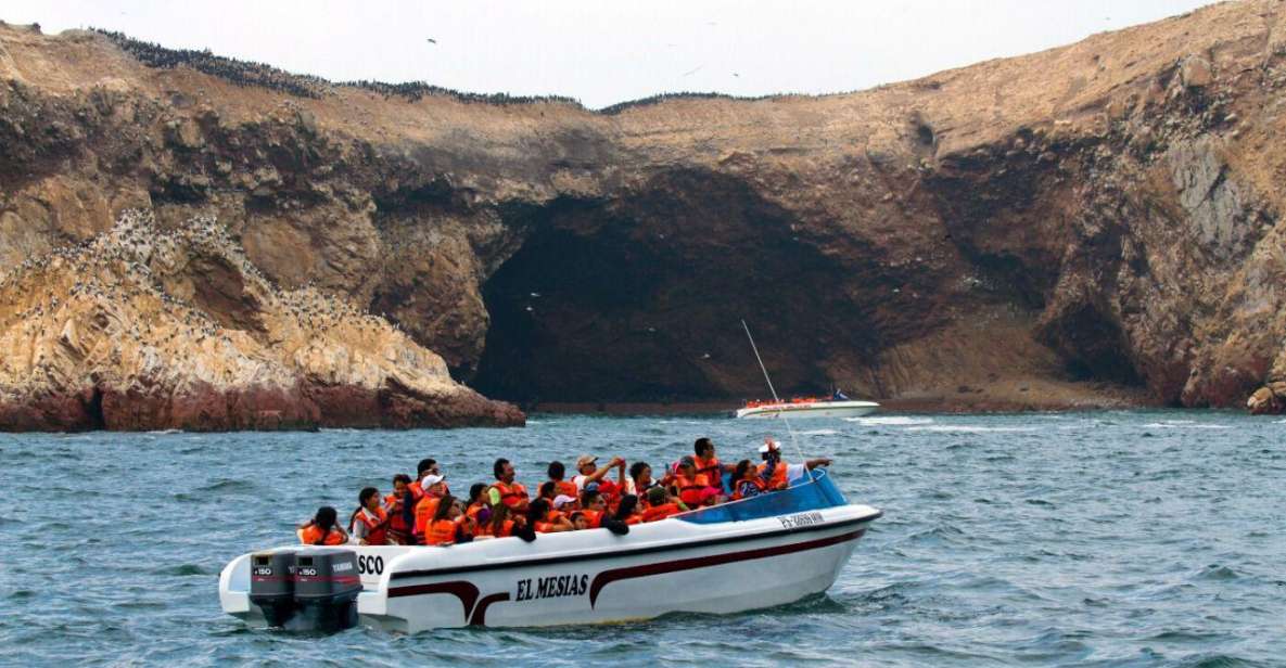 Swim With Sealion on Palomino Island - Experience Highlights