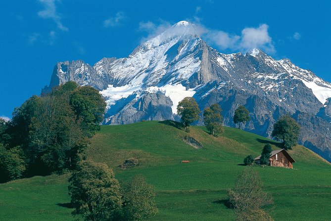 Swiss Alps: Interlaken and Grindelwald Day Trip From Zurich - Key Itinerary Details