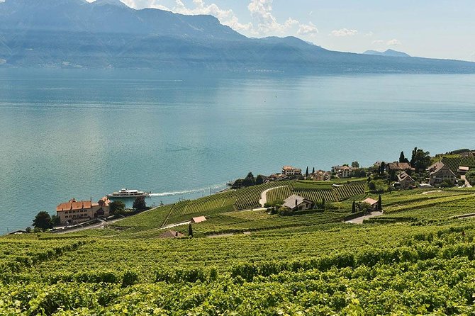 Swiss Wine Tasting at Lavaux Vineyards: Private Trip From Geneva - Experience Highlights in Lavaux Vineyards