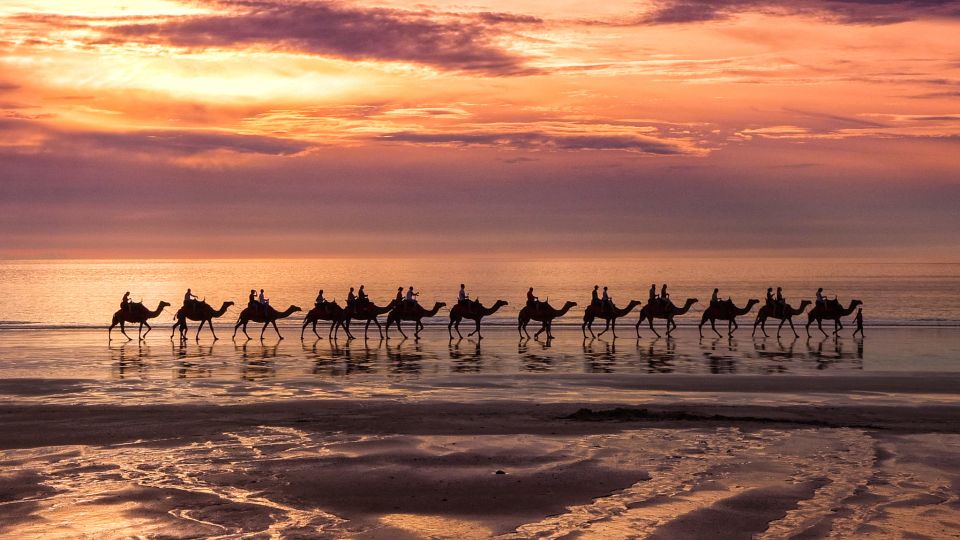 Taghazout Sunset Camel Ride - Experience Highlights