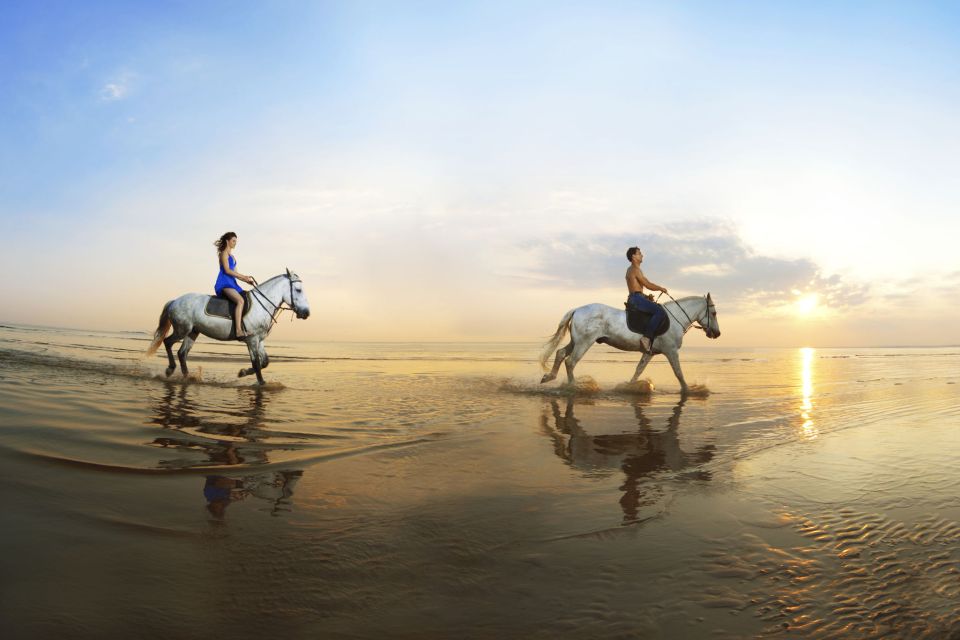 Taghazout: Sunset Horse Riding Experience on the Beach - Experience Highlights