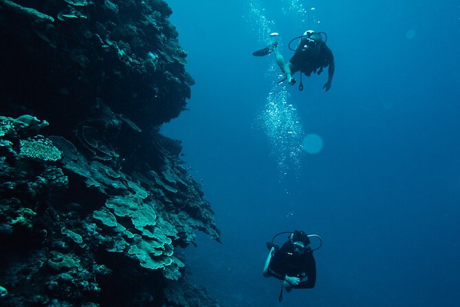 Tahiti Fun Certified Scuba Dive - Certification Requirements