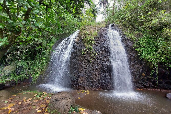 Tahiti Half Day Coastal Private Tour - Inclusions