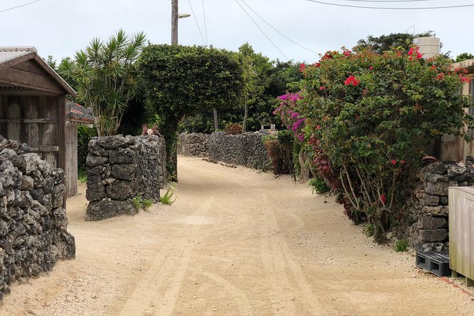 Taketomi Island Walk Tour With an Island Guide - What to Bring and Wear