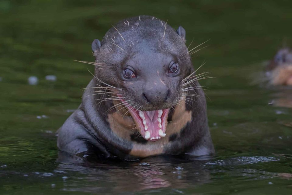 Tambopata National Reserve 4 Days - Booking Information and Policies